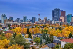 Alberta Express Entry Stream: The Ultimate Guide